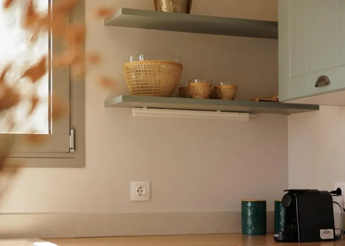 Daphne 贝尼蔡斯